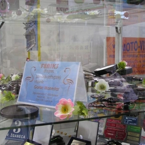 Feniks, vl. Goran Manestar, Bjelovar