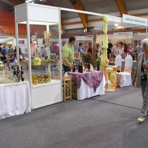 Mesap 2009
