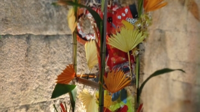 Img-20250321-wa0021